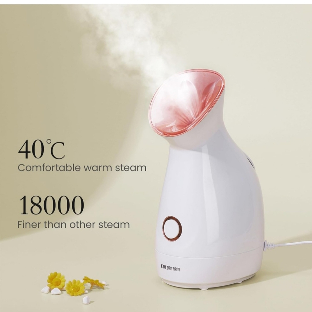 Facial steamer